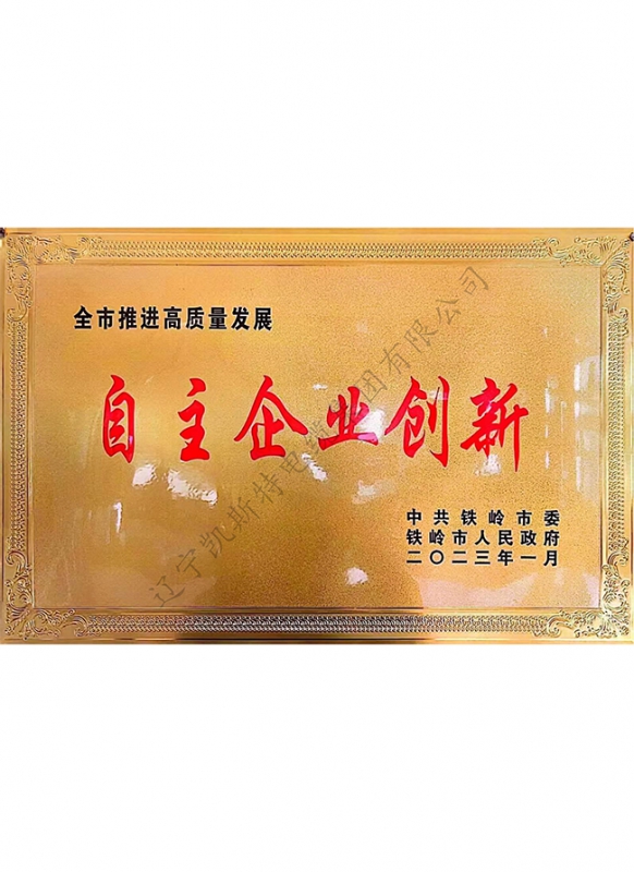 自主企业创新