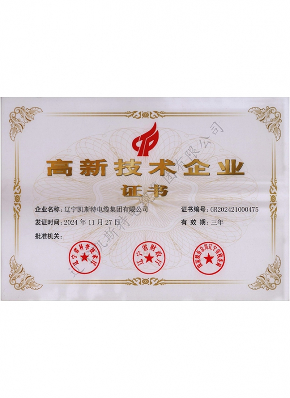 高新技术企业证书