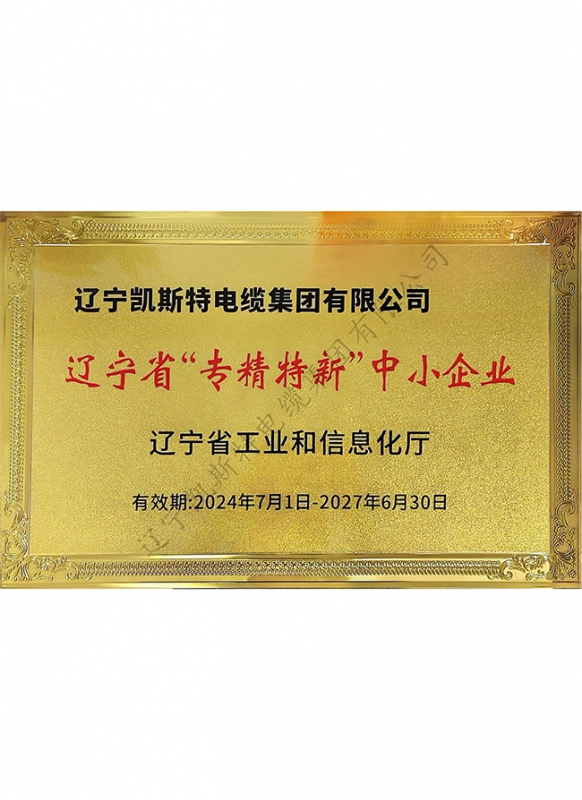 辽宁省“专精特新”中小企业